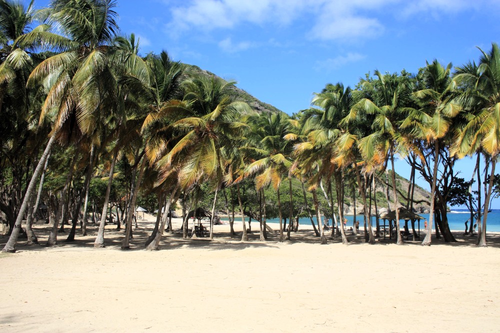 Relaxing on the serene sands of Plage de Pompierre, Les Saintes